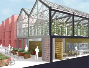 General Contractor - SketchUp General Contractor - SketchUp